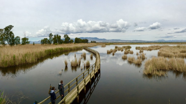 PARQUE NATURAL EL HONDO