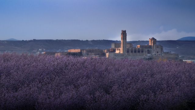 LLEIDA