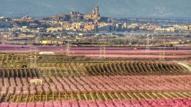 L'HORTA DE LLEIDA