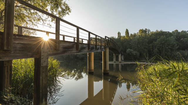 MITJANA PARK