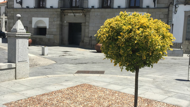 CASA CONSISTORIAL