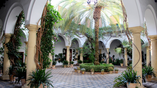 PALACIO DE VIANA