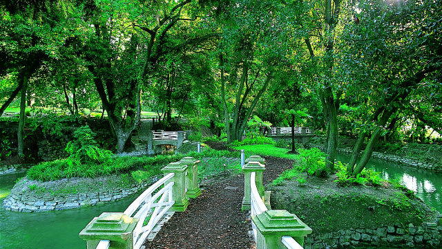 JARDÍN BOTÁNICO ATLÁNTICO