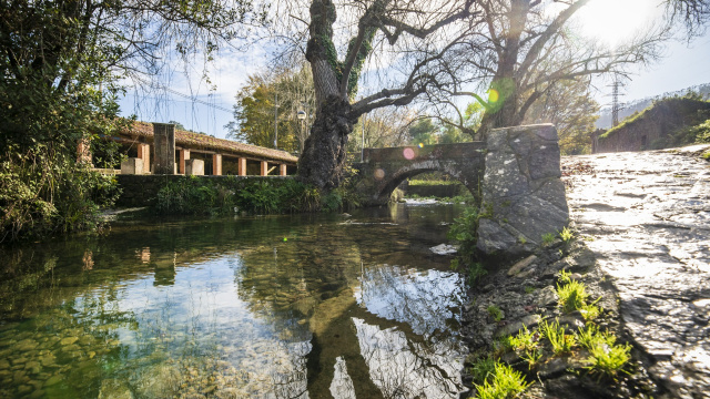EL GÜEYU DE DEVA