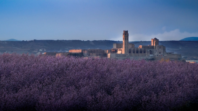 LLEIDA