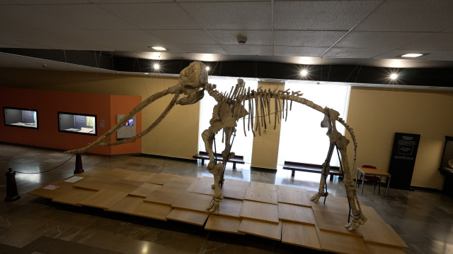 OTROS MUSEOS DE LA CIUDAD