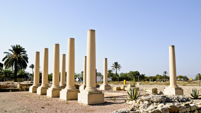 PARQUE ARQUEOLÓGICO DE LA ALCUDIA